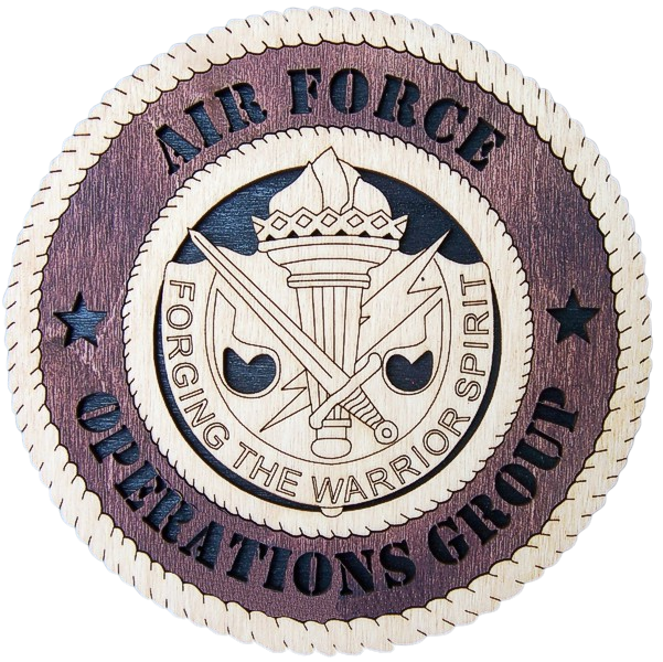 Air Force Operation Group